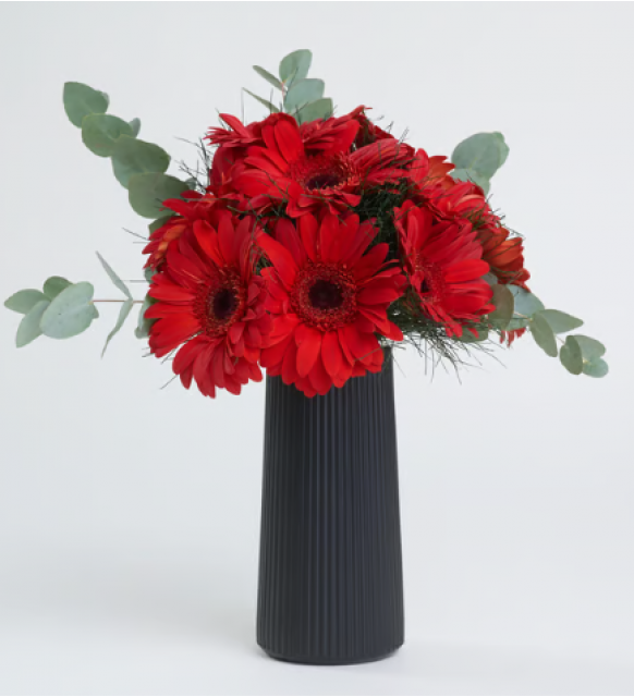 Siyah Çizgili Polimer Vazoda Kırmızı Gerbera Çiçekleri